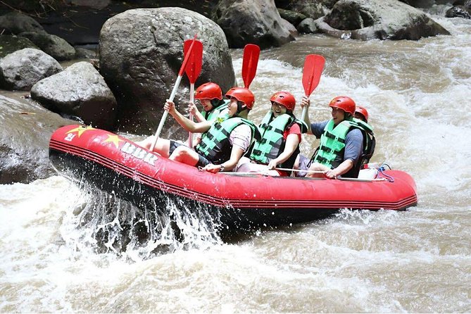 Bali White Water Rafting - Infinity - On the water: waterfalls, wildlife, and swim-friendly quiet stretches