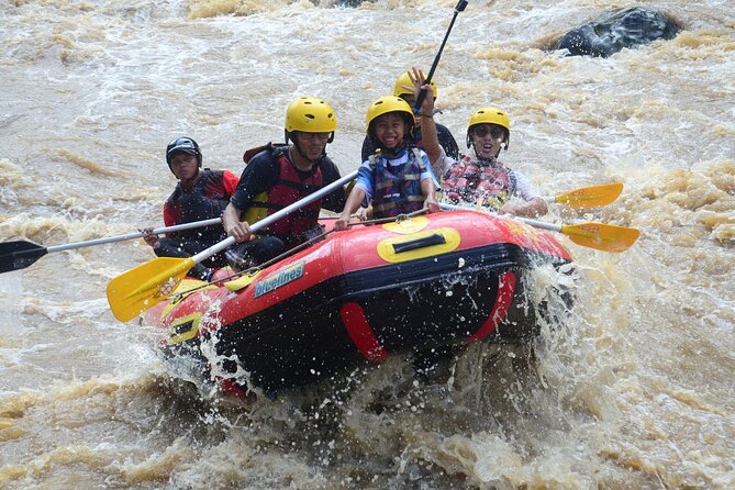 Bali White Water Rafting with Sacred Monkey Forest and Swing - A Full-Day Mashup That Works: Rapids, Swing, Monkeys