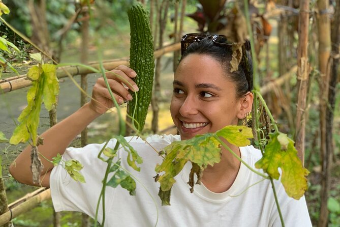 Balinese Authentic Cooking Class in Ubud - Price and Value: Why Around $39.71 Can Be Worth It