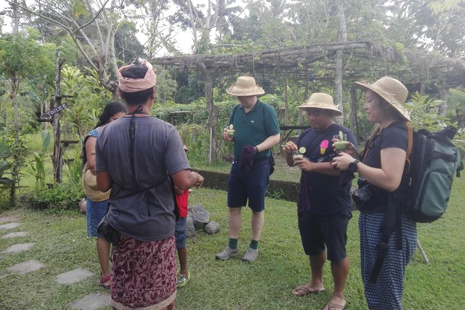 Balinese Cooking Class at Organic Farm - Harvest-to-stove cooking: what you’ll make, including sate lilit and corn fritters