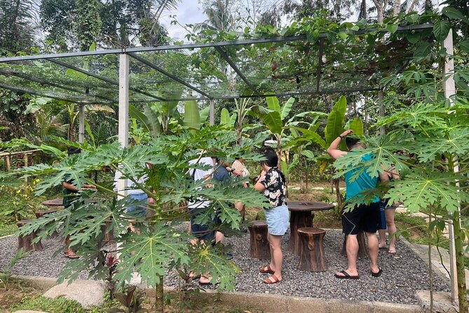 Balinese Cooking Class with Traditional Market Tour - Who Should Book This Balinese Cooking Class in Ubud