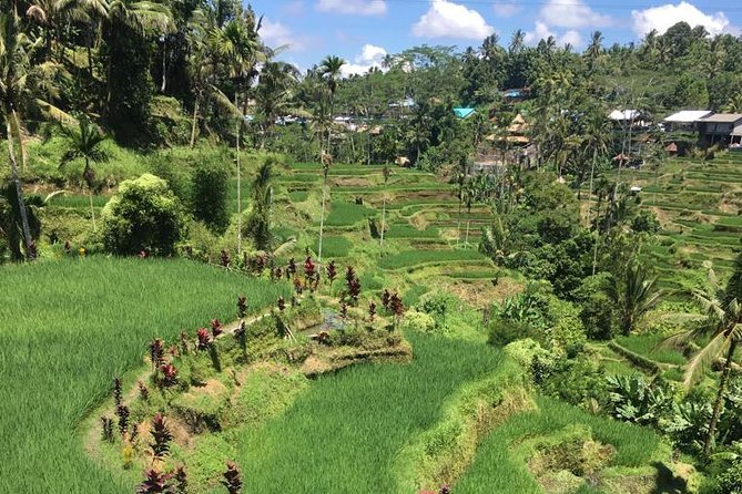 Balinese Life Style Tour - Private driving from Ubud: why the day feels smoother