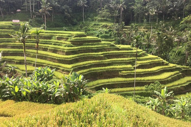 Balinese Life Style Tour - What you are really paying for at $74