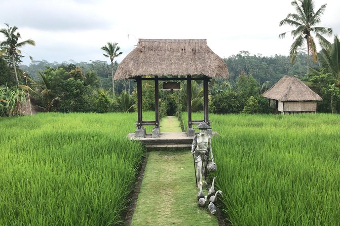Balinese Life Style Tour - Timing, pace, and how to plan your own day