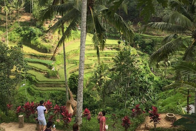 Balinese Life Style Tour - The guide experience: getting more than a map