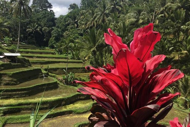 Balinese Life Style Tour - Gunung Kawi Sebatu Temple: spring-water temple in a calmer pace