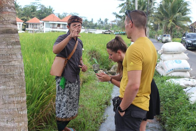 Balinese Ubud cooking school (9 Dish Cooking and Market Tour) - Value check: is $58 a fair deal for Ubud?