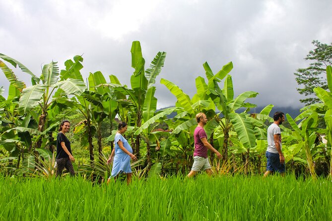 Balinese Vegan Cooking Class with Fresh Harvesting & Garden Tour - The meeting point: Anandinii Organic Garden & Kitchen