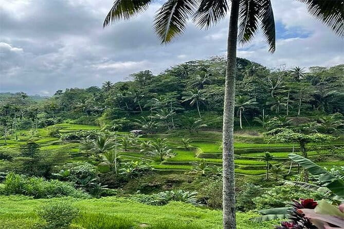 Banyumala Waterfall, Jatiluwih, Ulun Danu and Tanah Lot tours - A tight Bali circuit of sea temple, rice terraces, and lake shrines