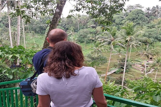 Banyumala Waterfall, Jatiluwih, Ulun Danu and Tanah Lot tours - Price and value: what $70 gets you on a private Bali day