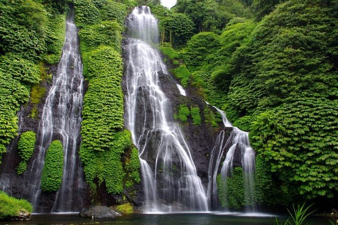 Banyumala Waterfall Tour - Price and comfort: what $44 buys (and what it doesn’t)