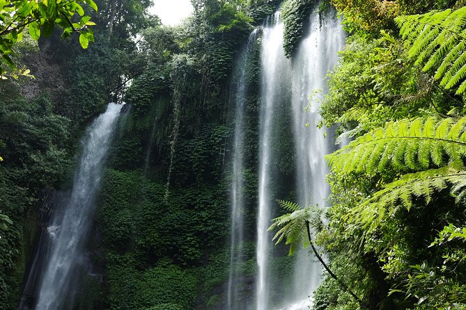 Banyuwana & Banyumala Waterfalls Tour Private - All-Inclusive - A full-day north Bali waterfall circuit from Ubud