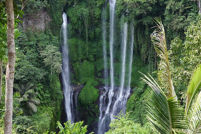Banyuwana & Banyumala Waterfalls Tour Private - All-Inclusive - Banyu Wana Amertha: steep stairs, stepping stones, and swim time
