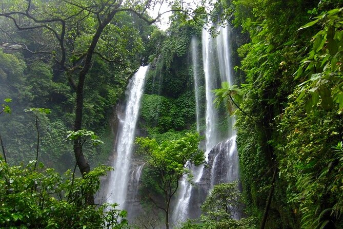 Banyuwana & Banyumala Waterfalls Tour Private - All-Inclusive - Sekumpul Waterfall hike: why the effort feels worth it