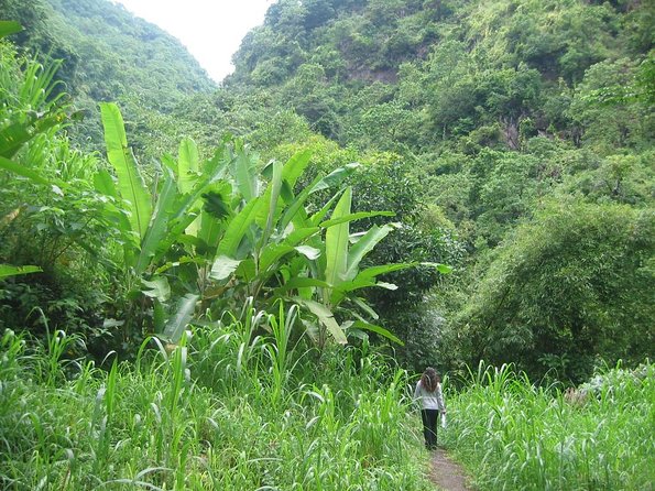 Batur Caldera Sunrise Trekking - Key things to know before you go