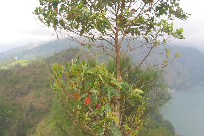 Batur Caldera Sunrise Trekking - The sunrise moment: tea, coffee, and breakfast with a view