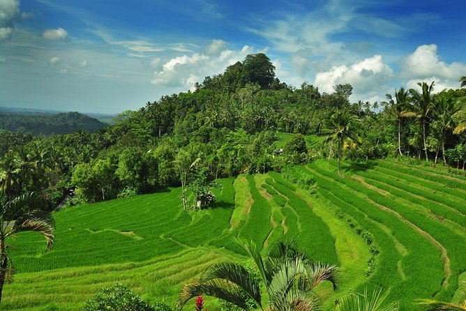 Besakih Temple Tour - Mother Temple in Bali - Tukad Cepung Waterfall: Rainbow Spray, Cliffs, and the Stair Check