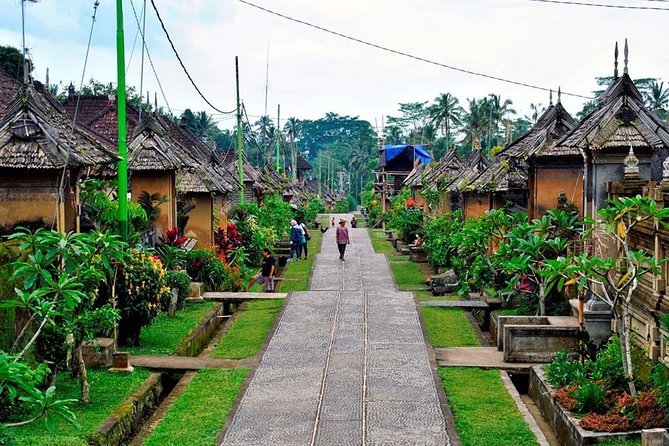 Besakih Temple Tour - Traditional Bali Village - All Inclusive - Who Should Book This Tour (and Who Might Not)