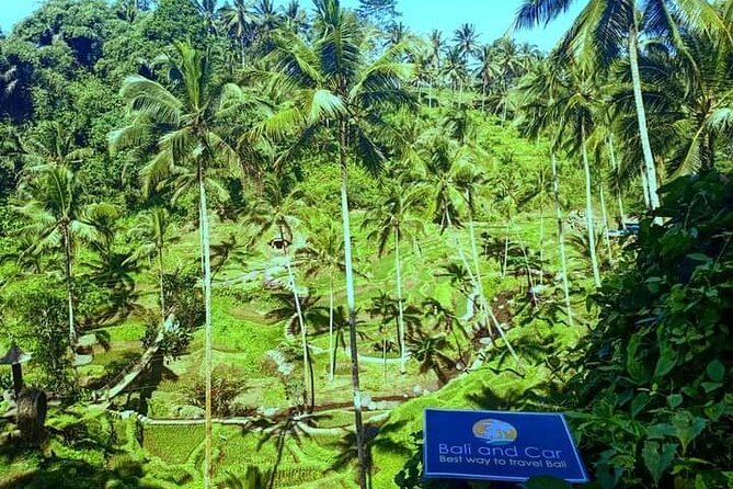 Best bali transport service - custom your own itinerary - Comfort and group logistics: the luggage rule you should not ignore