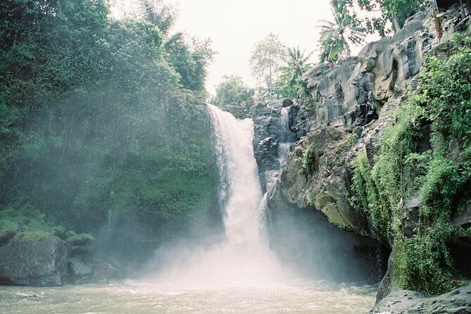 Best Day Tour - #3 World Cleanest Traditional Village - Ubud in one day, without the group chaos