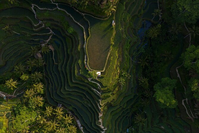 Best Day Tour - #3 World Cleanest Traditional Village - Tegenungan Waterfall: a classic Ubud stop with two viewing options