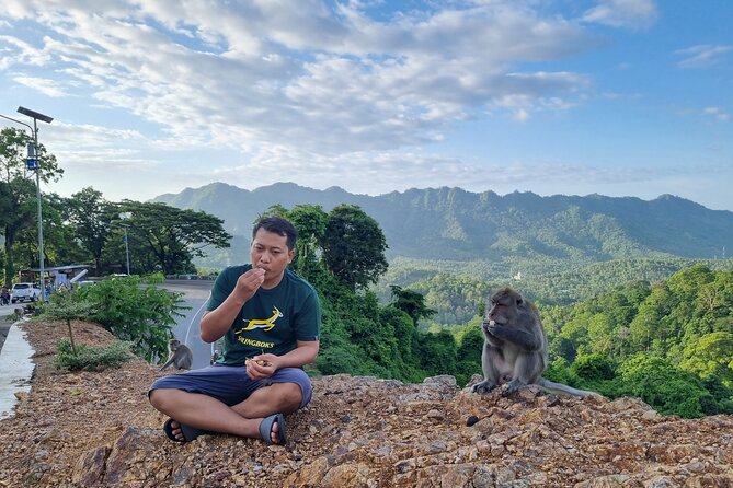 Best Lombok Rice Terrace Walking Tour With Waterfall & Monkey - Getting there and staying comfortable: pickup, AC transport, and a realistic 6 to 8 hours
