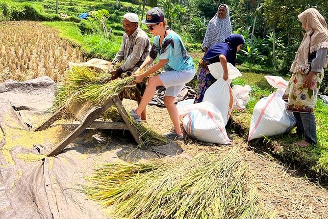 Best Lombok Rice Terrace Walking Tour With Waterfall & Monkey - Food and breaks: lunch is on you, but drinks are covered