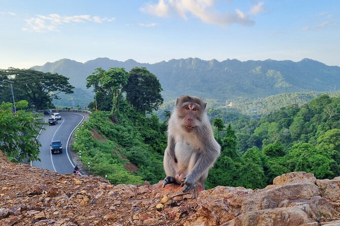 Best Lombok Rice Terrace Walking Tour With Waterfall & Monkey - Fitness and footwear: who should book, and who should rethink