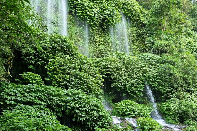 Best Lombok Rice Terrace Walking Tour With Waterfall & Monkey - Benang Stokel and Benang Kelambu Waterfall: beautiful, but plan for effort