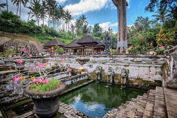 Best of Bali : Bali Temples , Rice Terrace and Waterfall Tour - Tegalalang Rice Terrace: the classic view, plus how to enjoy it