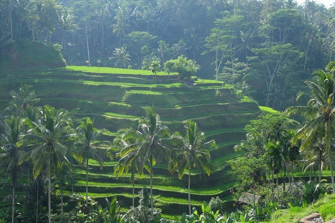 Best of Bali Private Shore Excursions - Ubud Art Market Finish: Batik, Wood Carving, and a Shopping Window