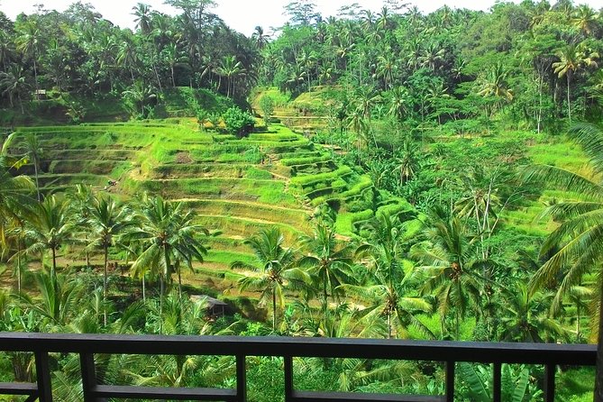 Best of Bali : Ubud, Rice terrace, Tanah lot temple with Lunch - A one-day Best of Bali route that actually feels organized