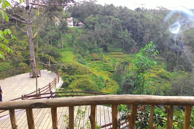 Best of Bali : Ubud, Rice terrace, Tanah lot temple with Lunch - Uma Pakel Agro Tourism: coffee, chocolate, and a plant walk