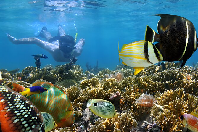 Best of Bali Water Sport Jumbo Packages - Picking activities that match your energy (Jet Ski, Parasailing, and the rest)