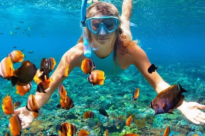 Best of Nusa Penida All-Inclusive Day Trip - Crystal Bay: The Palm-Fringed Cove Moment