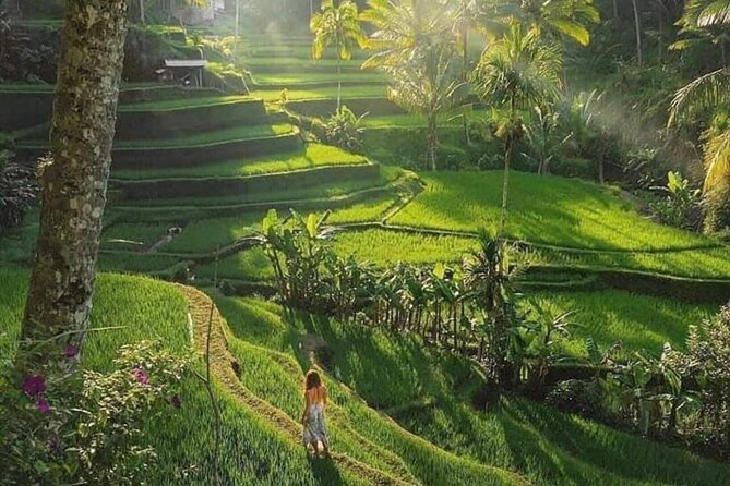 Best of Ubud: All-Inclusive Private Tour with Local Guide - Tirta Empul Temple: where the ritual part is optional