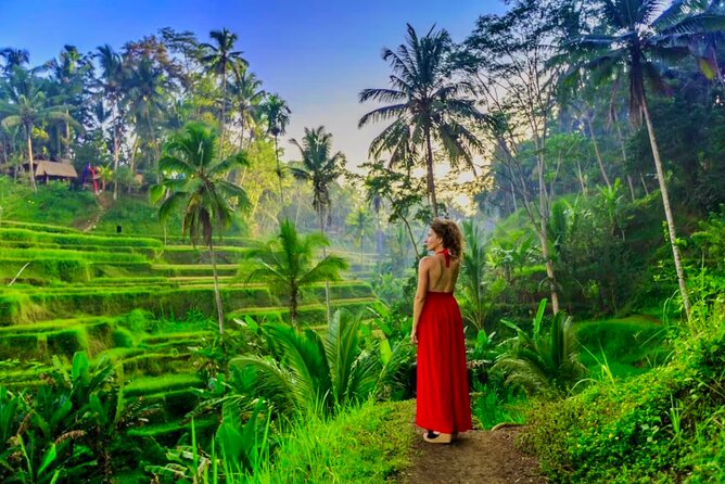 Best of Ubud: All-Inclusive Private Tour with Local Guide - Getting picked up and why smooth driving matters