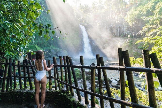 Best of Ubud Attractions: Private All-Inclusive Tour - Price and what you really get for $57