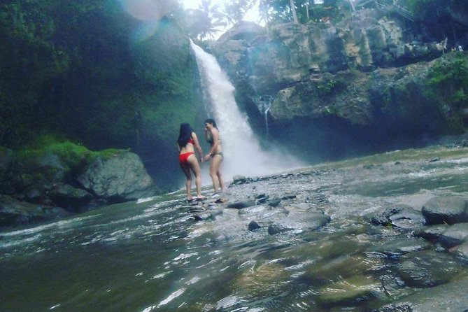 Best of Ubud Full Day Private Guided Tour - The ride and meet-up setup: private transport, water, and mobile ticket