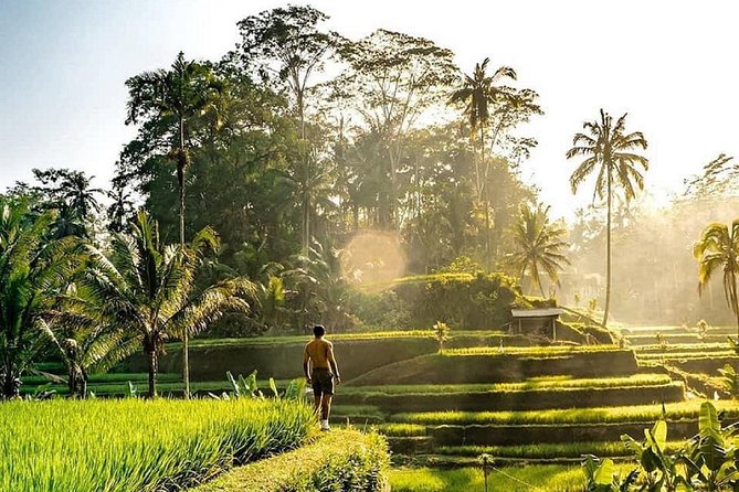 Best of Ubud - Full day Tour + FREE WI-FI - Key highlights to know before you go