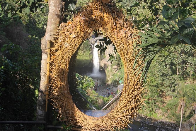 Best of Ubud - Full day Tour + FREE WI-FI - Sacred Monkey Forest: enjoy the guide, respect the rules