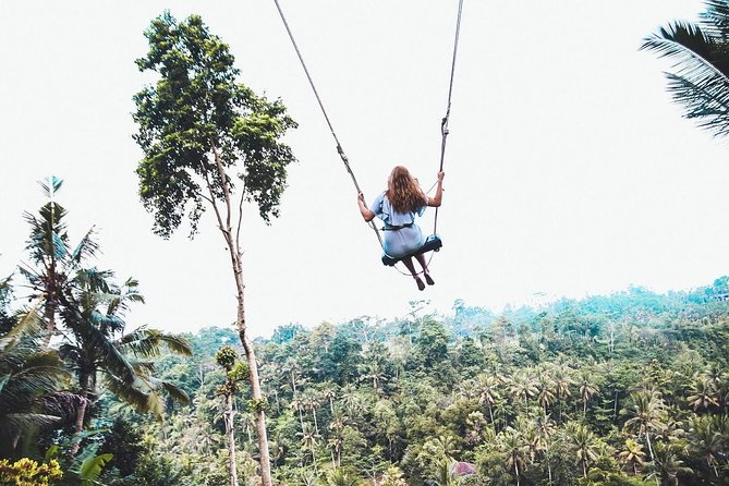 Best of Ubud Full-Day Tour with Jungle Swing - Price and value: what $56.05 covers