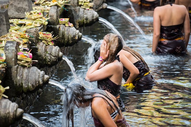 Best of Ubud Full-Day Tour with Jungle Swing - Jungle swing: the ticketed adrenaline moment (and the 9+ rule)