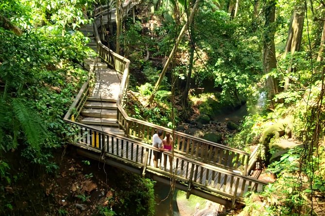 Best of Ubud - Kintamani Volcano View - Private Tour - Price and what you really get for $63
