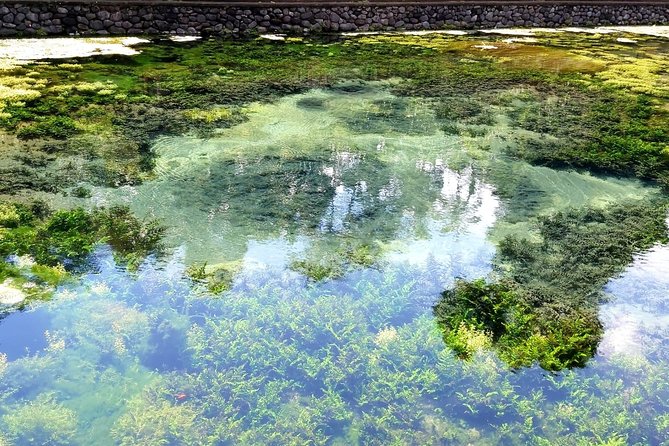 Best of Ubud - Kintamani Volcano View - Private Tour - Stop 4: Tirta Empul Temple and the holy spring water ritual