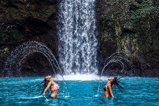Best Of Ubud : One Day Hidden Waterfall Tour with Tempel - Who Should Book This Tour (And Who Might Think Twice)