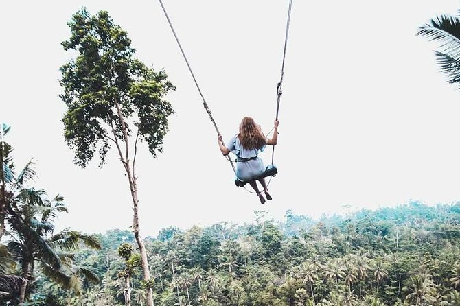 Best of Ubud Private Tour with Jungle Swing Experience - A full Ubud loop built around the rice terraces and the swing