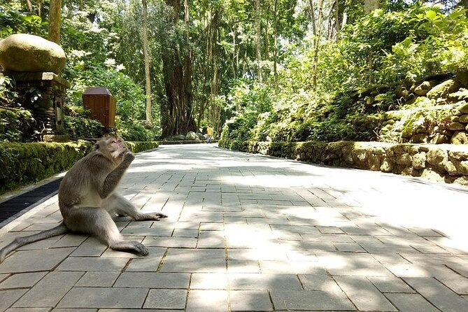 Best of Ubud Private Tour with Jungle Swing Experience - Stop 2: Tegenungan Waterfall for green scenery and a swim option