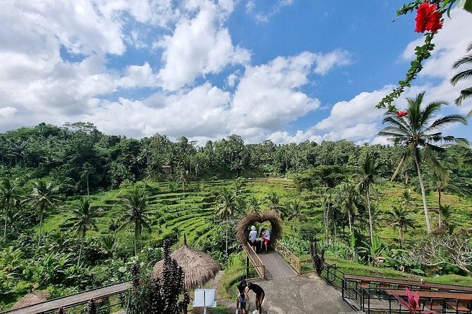 Best of Ubud Private Tour with Jungle Swing Experience - Getting from place to place in an AC private car