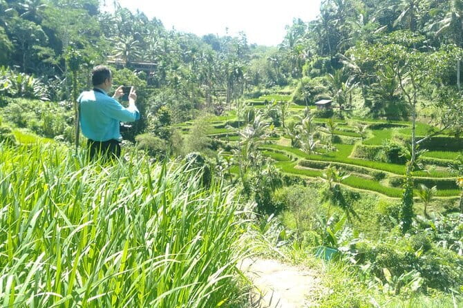 Best Of Ubud Scenic Full Day Private Guided Tour - Key things that make this Ubud day tour worth your time